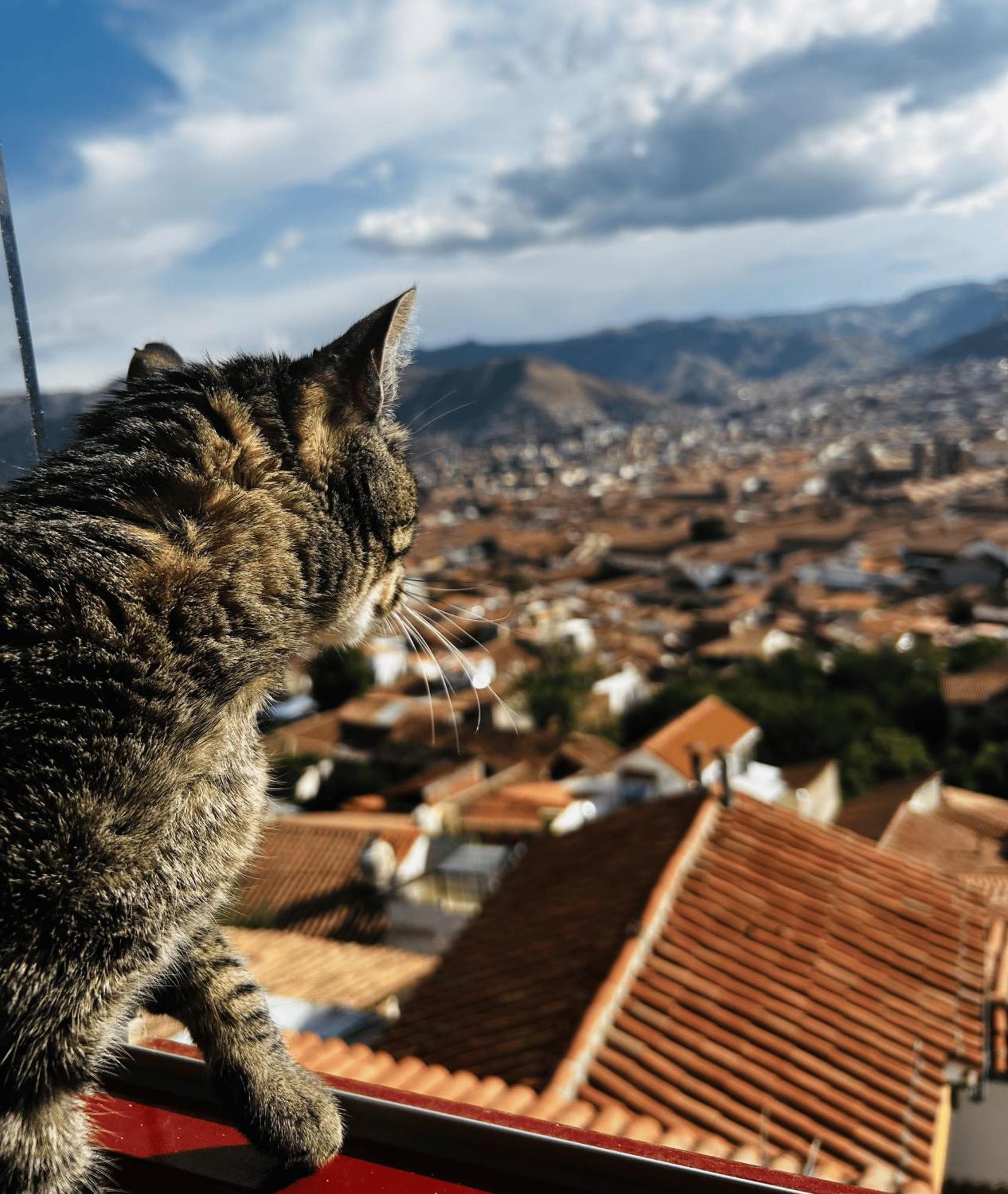 Summit Viewpoint House San Blas Cuzco Buitenkant foto